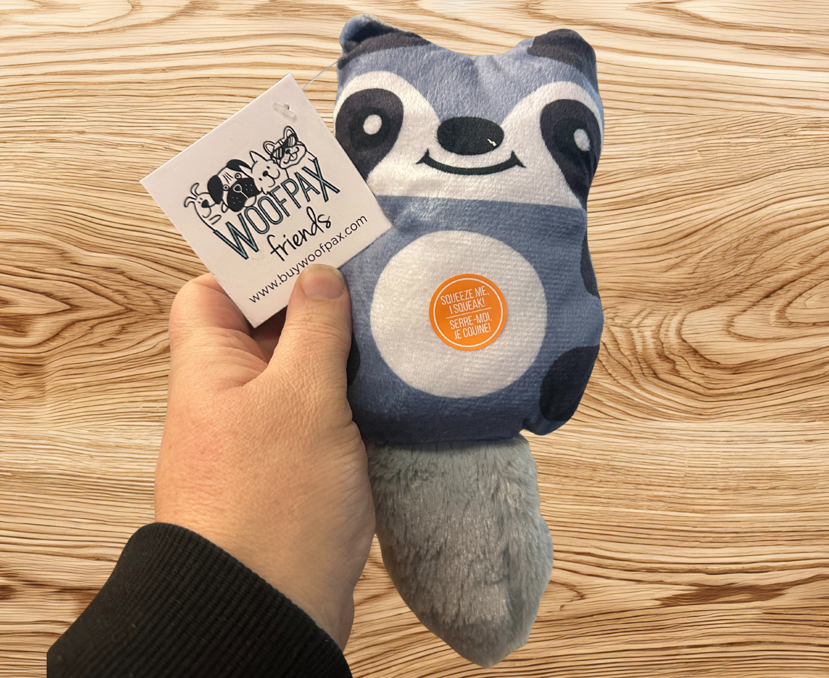 Raccoon Plush Pal